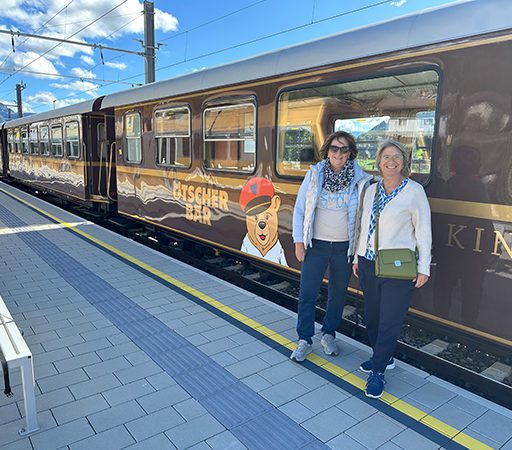 Lesen-im-Zug-Brunhilde-Gerlinde-Zug